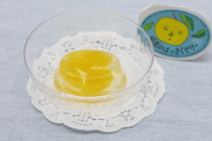 広島のおみやげ 広島県果実農業協同組合 因島のはっさくゼリー