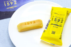 熊本のおみやげ 濃厚生チーズケーキ　1592
