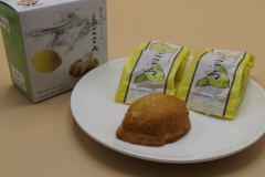 広島のおみやげ 瀬戸田レモンケーキ島ごころ